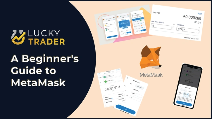 A Beginner's Guide to MetaMask, Setup & How to Use
