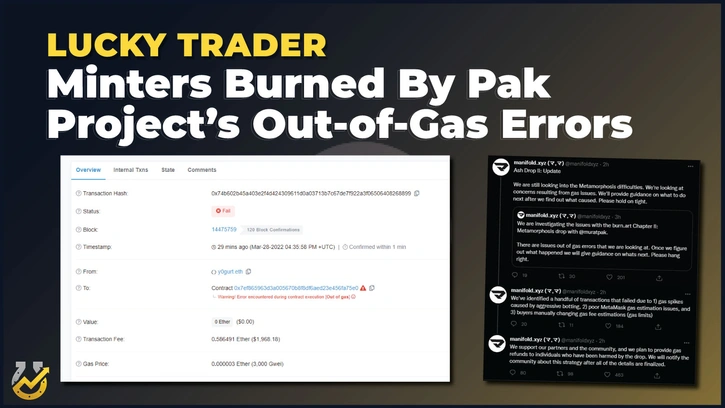 Minters Burned By Pak Project's Out-of-Gas Errors